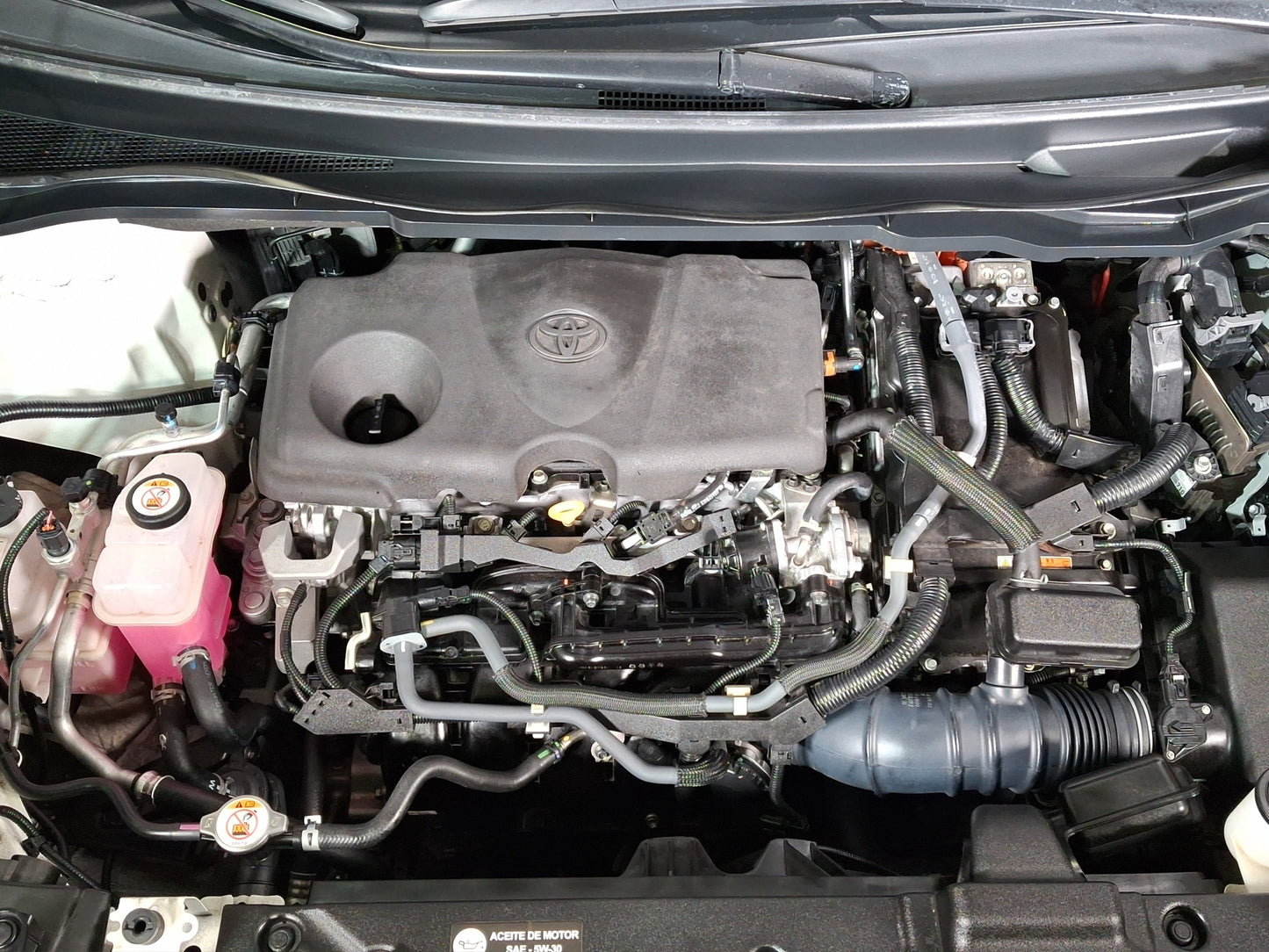 2022 Toyota Sienna LE