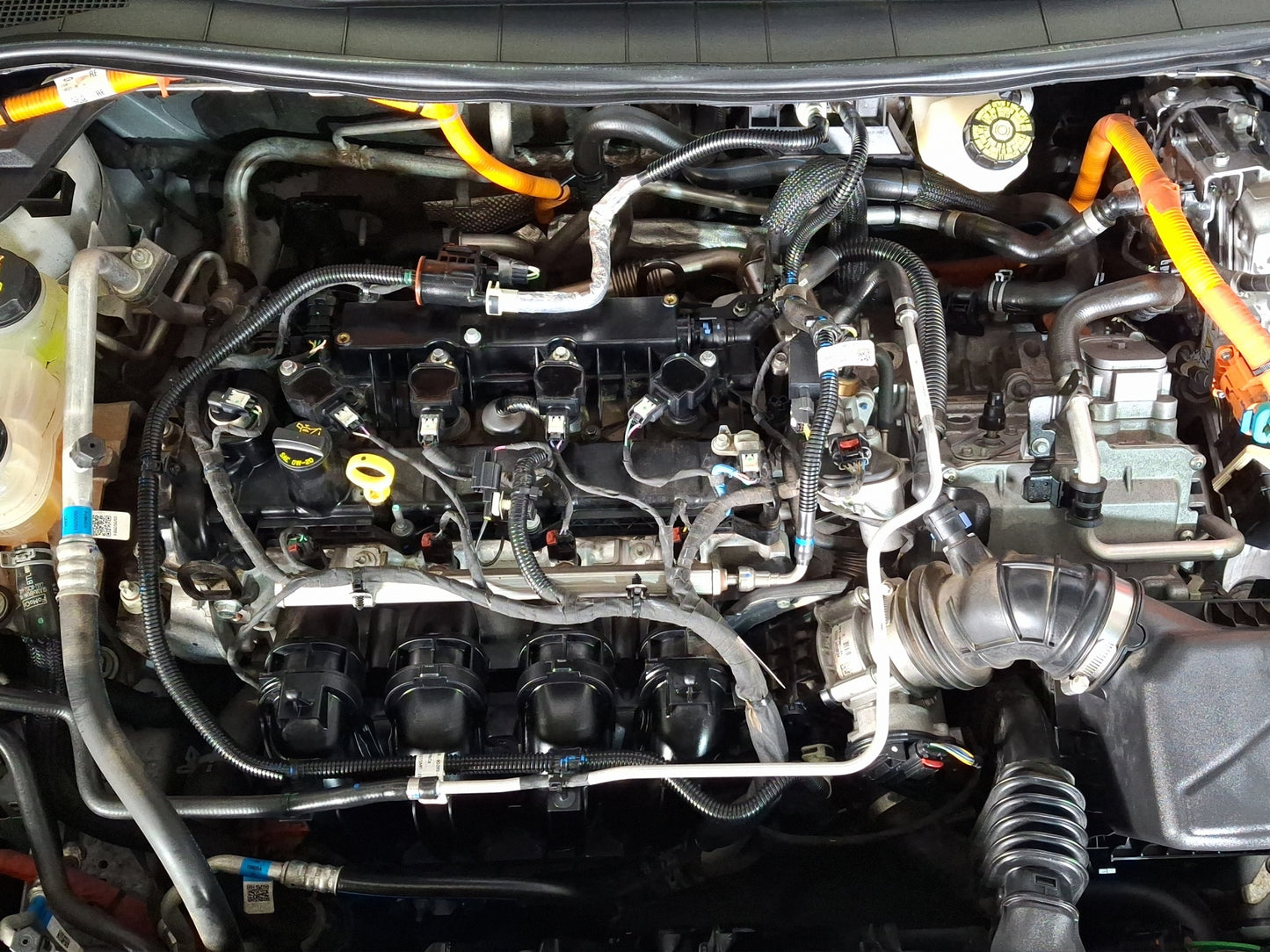 2024 Ford Escape ST Line Elite Hybrid