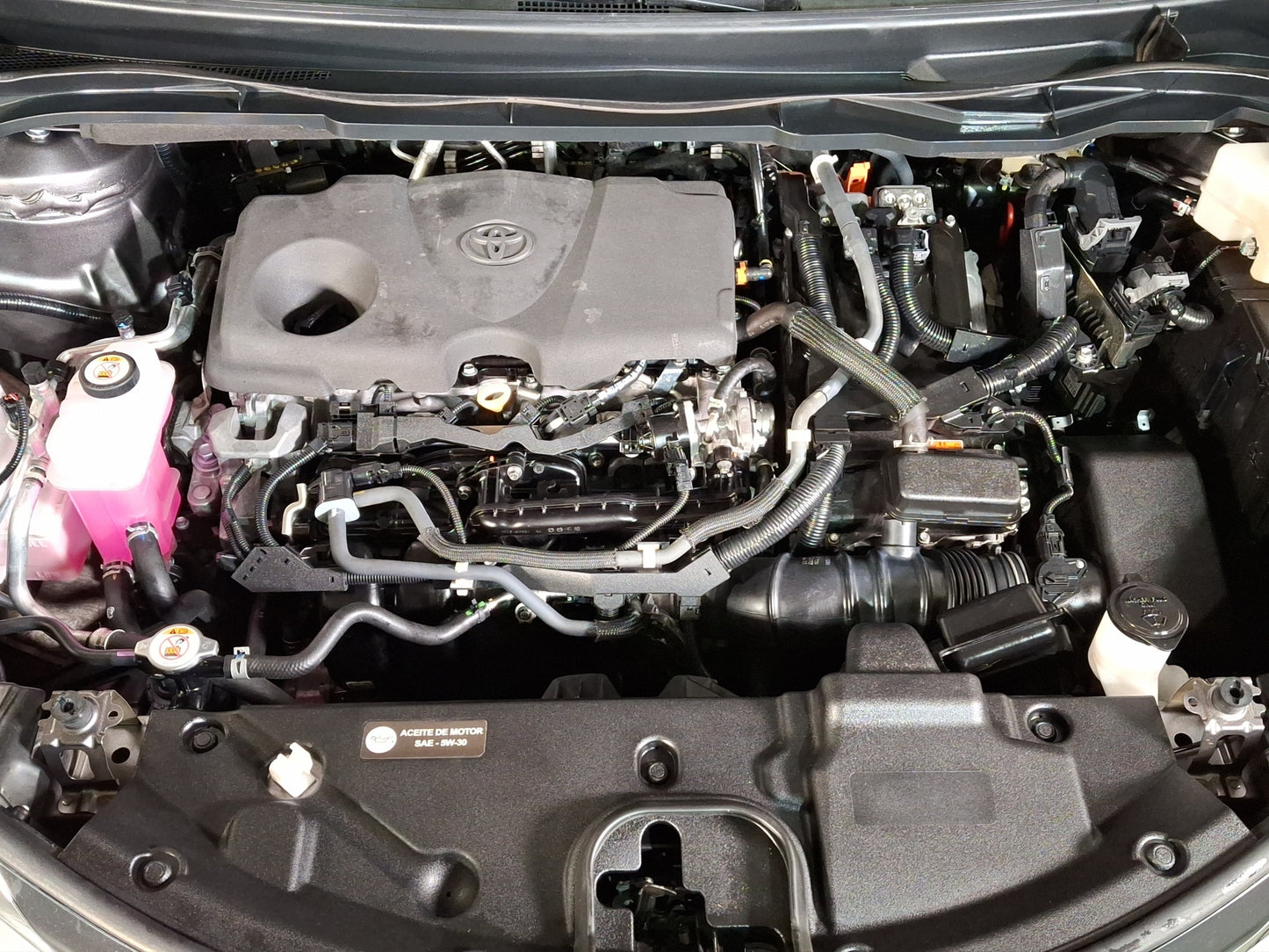 2022 Toyota Sienna XLE Piel Híbrida