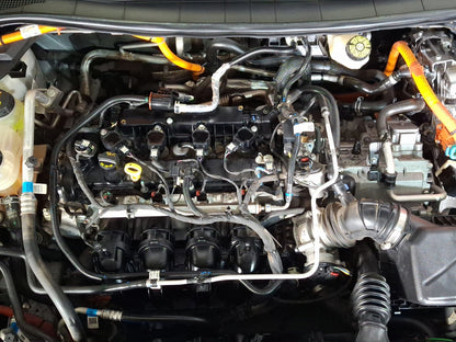 2024 Ford Escape ST Line Elite Hybrid