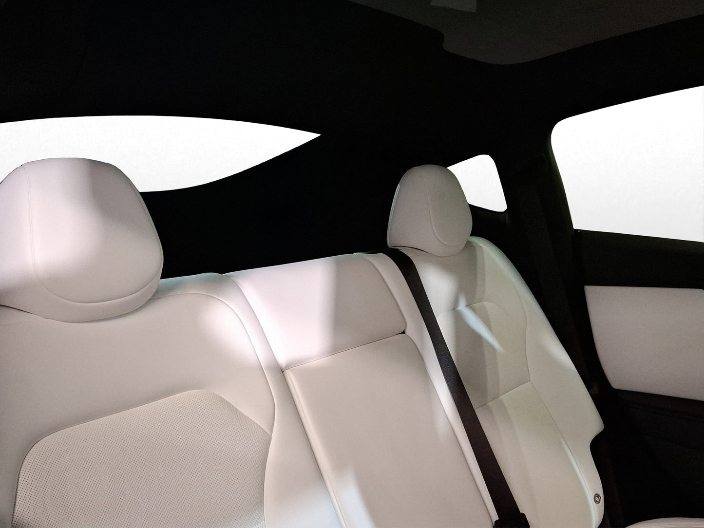 2026 Tesla Model Y Perfomance
