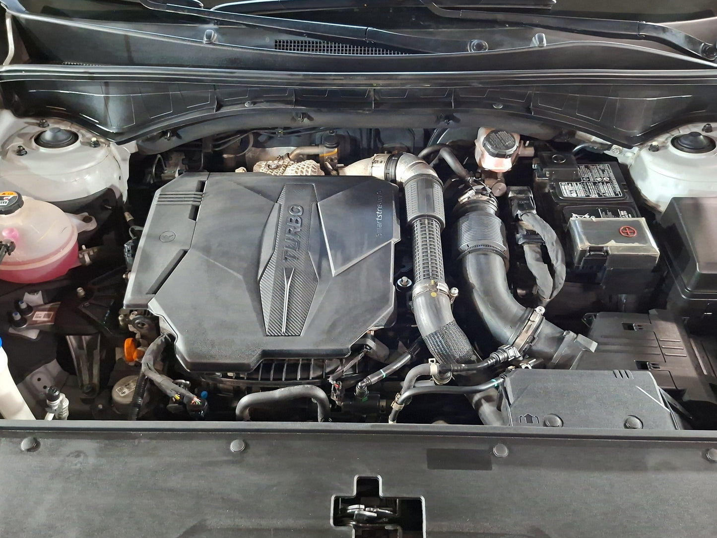 2023 KIA Sorento SXL