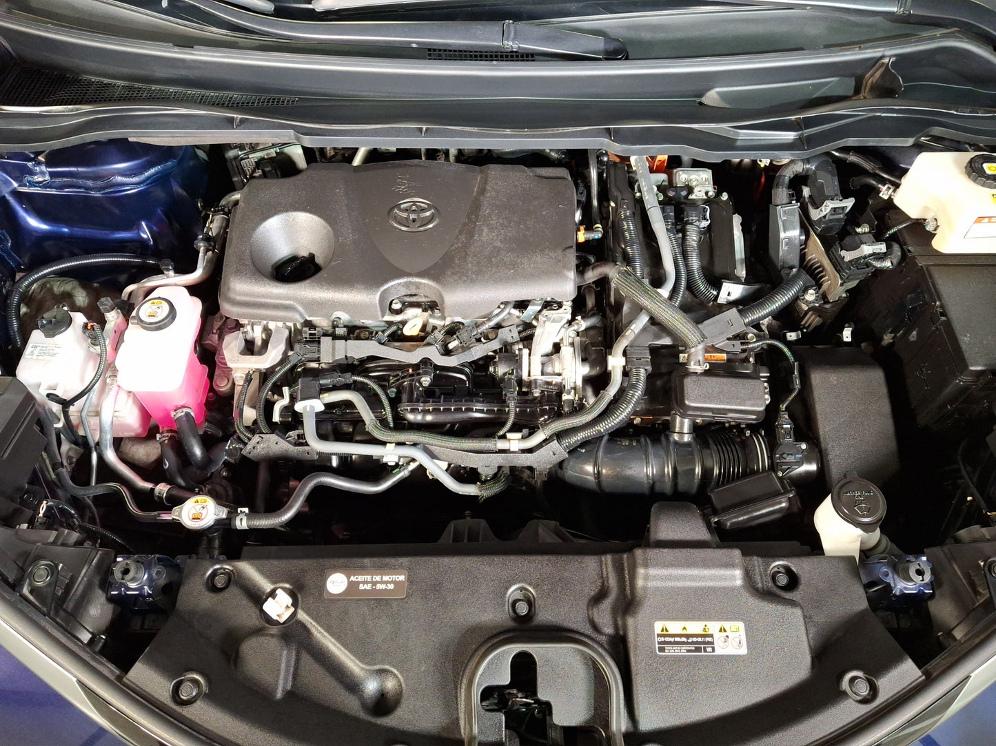 2021 Toyota Sienna Limited Hibrida
