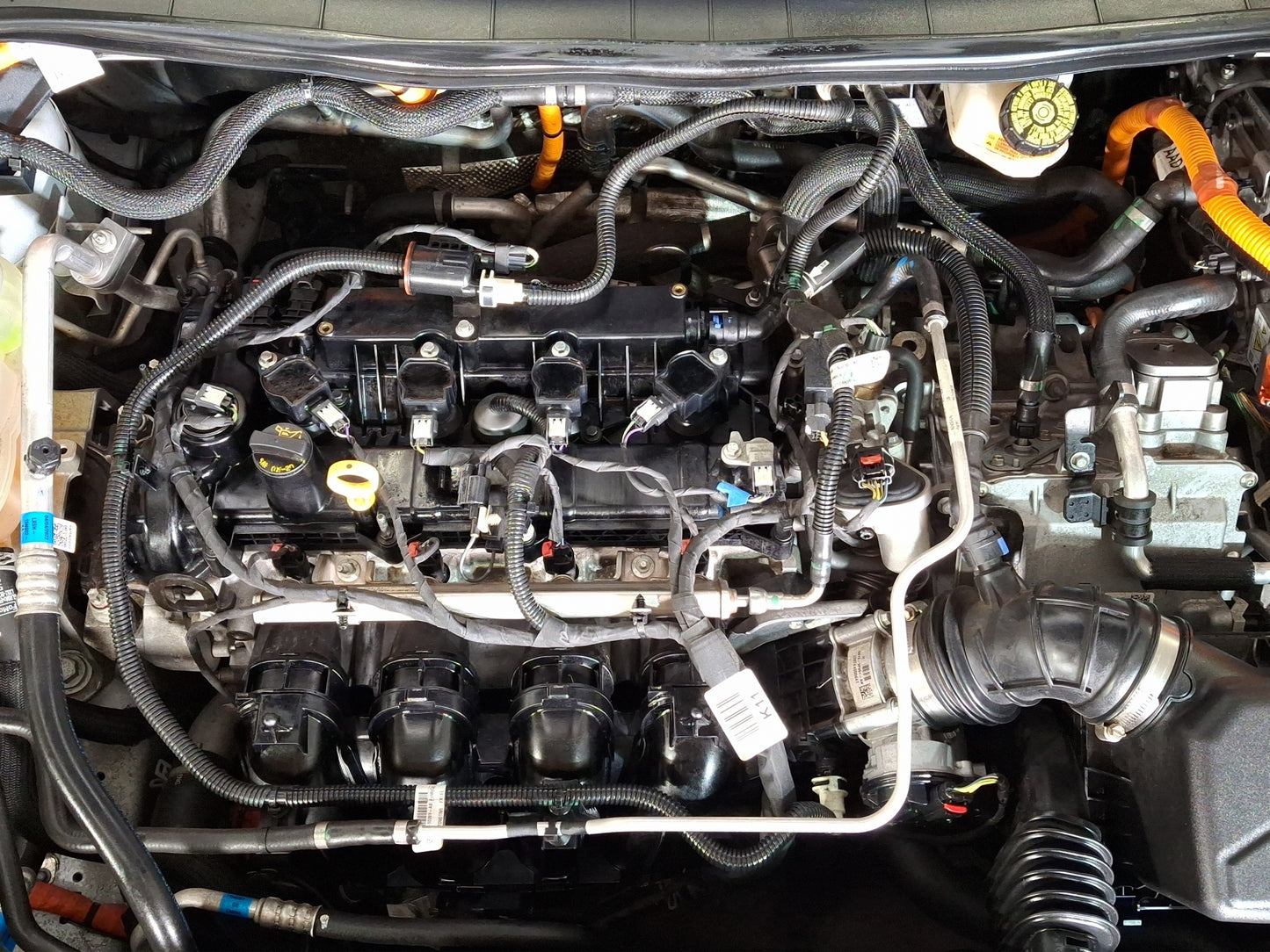2022 Ford Escape SEL Limited Hybrid
